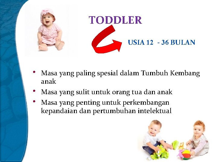 TODDLER USIA 12 - 36 BULAN • • • Masa yang paling spesial dalam