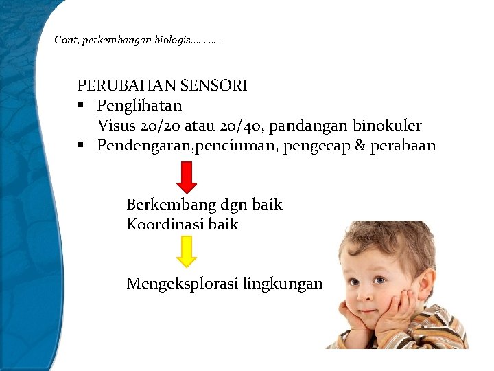 Cont, perkembangan biologis………… PERUBAHAN SENSORI § Penglihatan Visus 20/20 atau 20/40, pandangan binokuler §