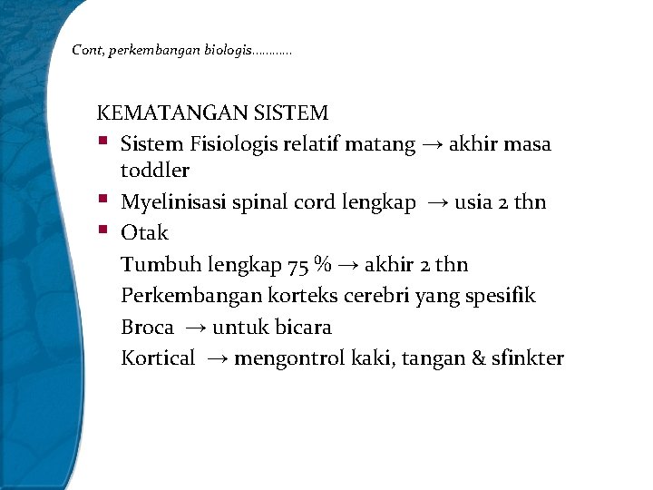 Cont, perkembangan biologis………… KEMATANGAN SISTEM § Sistem Fisiologis relatif matang → akhir masa toddler