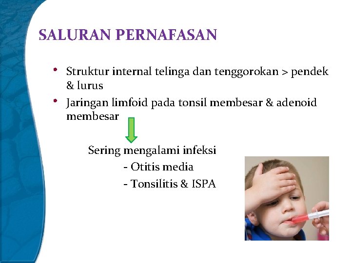 SALURAN PERNAFASAN • • Struktur internal telinga dan tenggorokan > pendek & lurus Jaringan