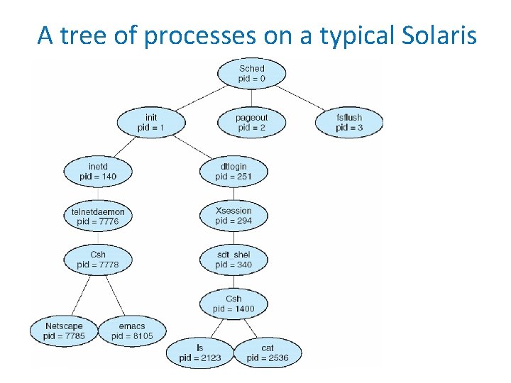 A tree of processes on a typical Solaris 