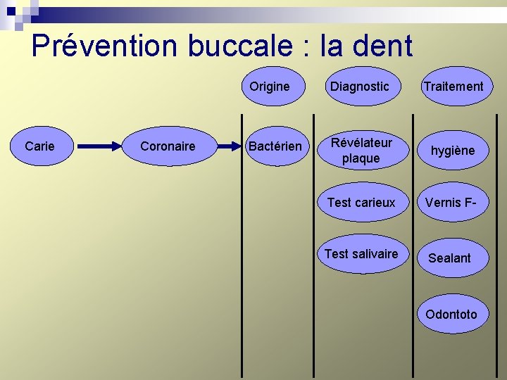 Prévention buccale : la dent Carie Coronaire Origine Diagnostic Traitement Bactérien Révélateur plaque hygiène