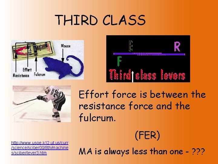THIRD CLASS Effort force is between the resistance force and the fulcrum. http: //www.