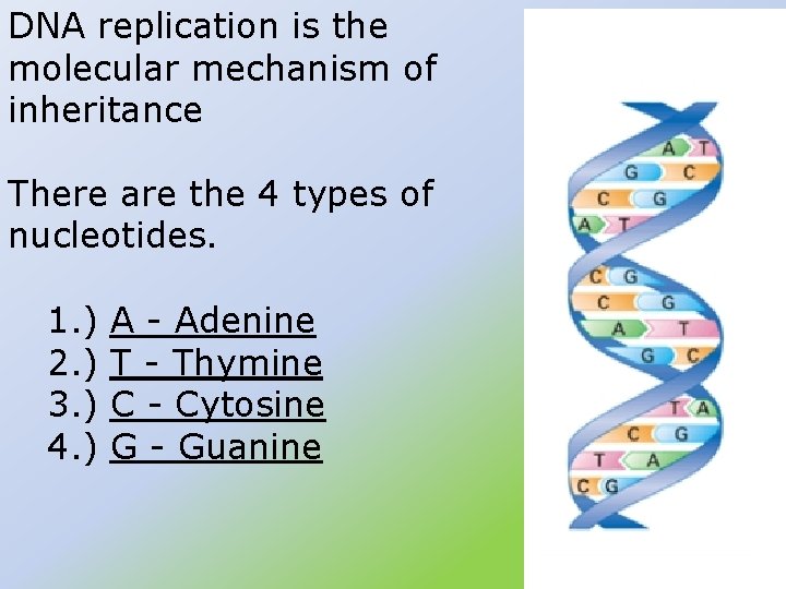 DNA replication is the molecular mechanism of inheritance There are the 4 types of