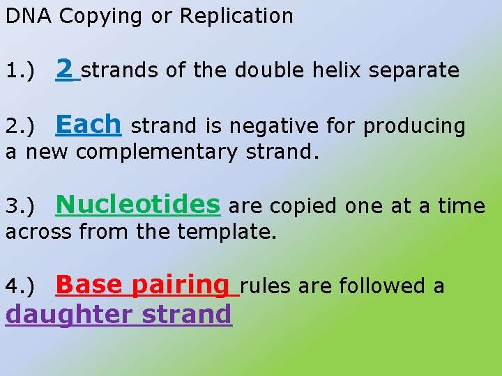 DNA Copying or Replication 1. ) 2 strands of the double helix separate 2.