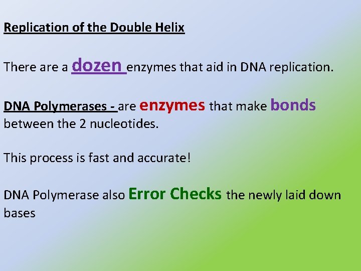 Replication of the Double Helix There a dozen enzymes that aid in DNA replication.