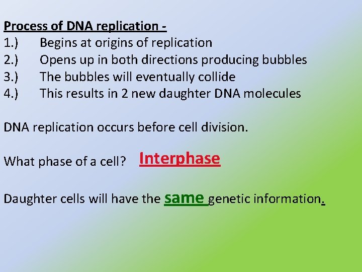 Process of DNA replication 1. ) Begins at origins of replication 2. ) Opens