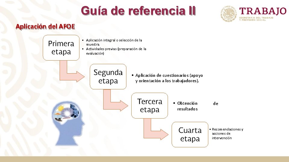 Guía de referencia II Aplicación del AFOE • Aplicación integral o selección de la Guía de referencia II Aplicación del AFOE • Aplicación integral o selección de la