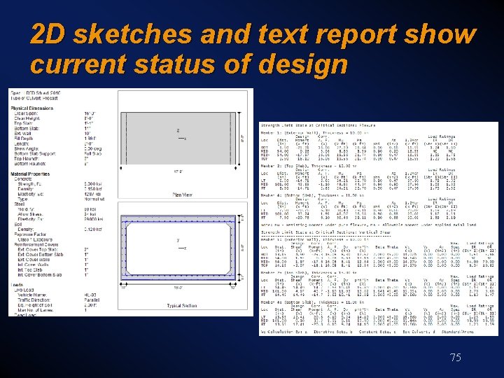 2 D sketches and text report show current status of design 75 