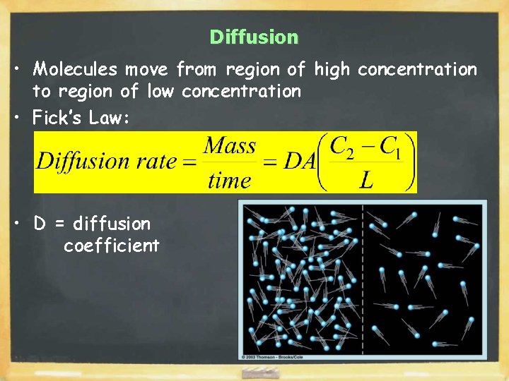 Diffusion • Molecules move from region of high concentration to region of low concentration