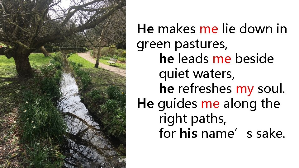 He makes me lie down in green pastures, he leads me beside quiet waters,