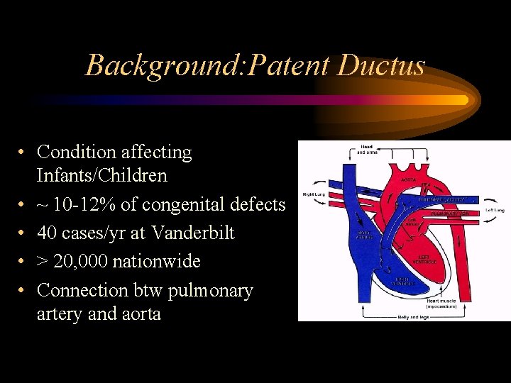 Background: Patent Ductus • Condition affecting Infants/Children • ~ 10 -12% of congenital defects
