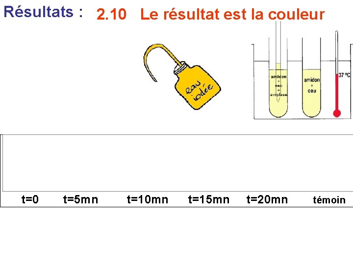 Résultats : 2. 10 Le résultat est la couleur t=0 t=5 mn t=10 mn