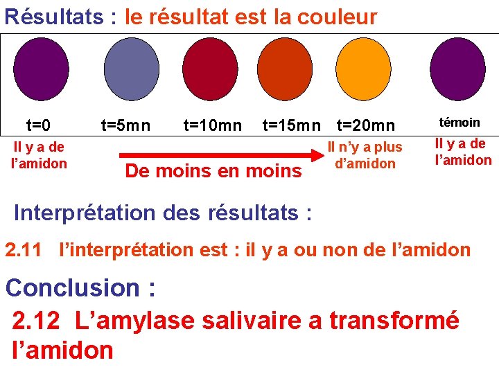 Résultats : le résultat est la couleur t=0 Il y a de l’amidon t=5