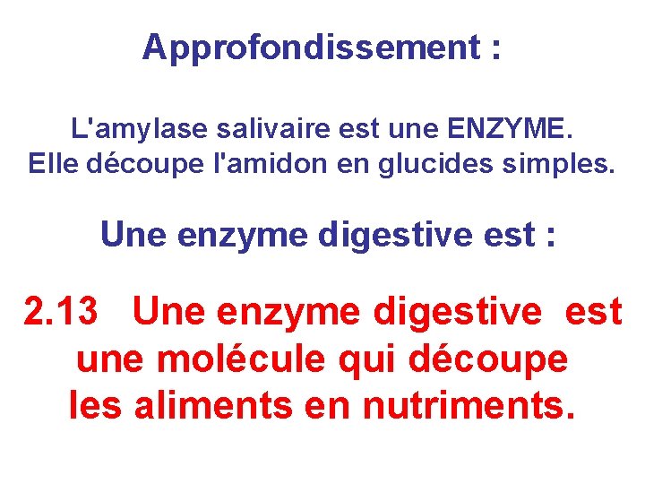 Approfondissement : L'amylase salivaire est une ENZYME. Elle découpe l'amidon en glucides simples. Une