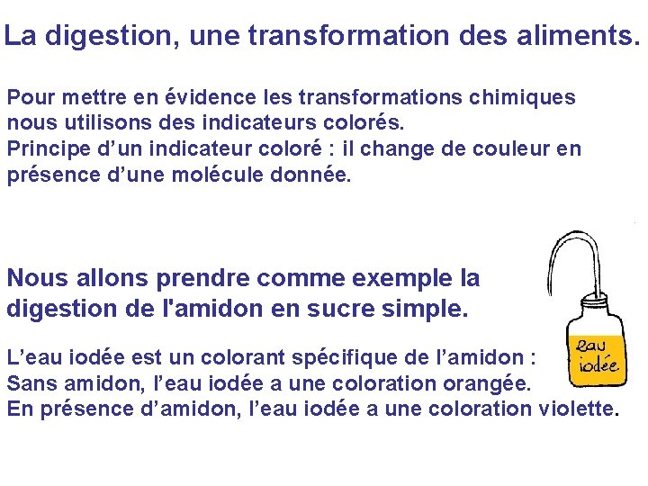 La digestion, une transformation des aliments. Pour mettre en évidence les transformations chimiques nous