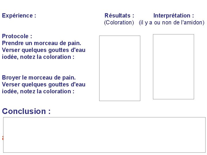 Expérience : Protocole : Prendre un morceau de pain. Verser quelques gouttes d'eau iodée,