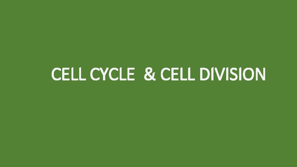 CELL CYCLE & CELL DIVISION 
