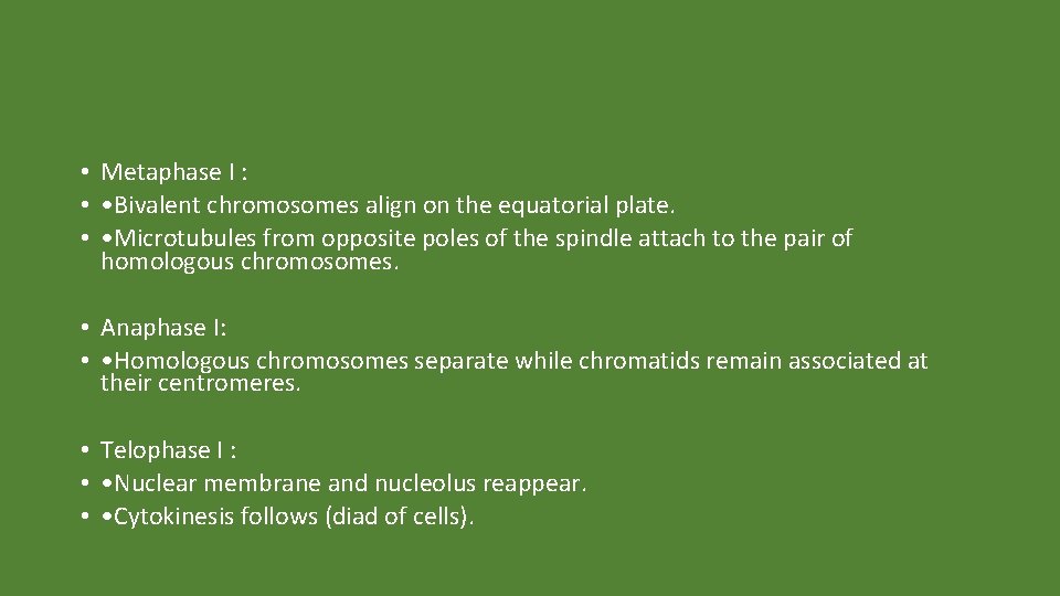 • Metaphase I : • • Bivalent chromosomes align on the equatorial plate.