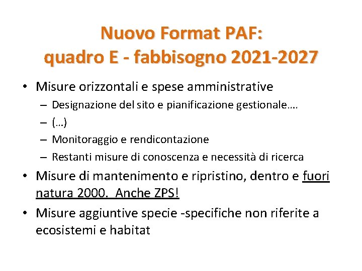 Nuovo Format PAF: quadro E - fabbisogno 2021 -2027 • Misure orizzontali e spese