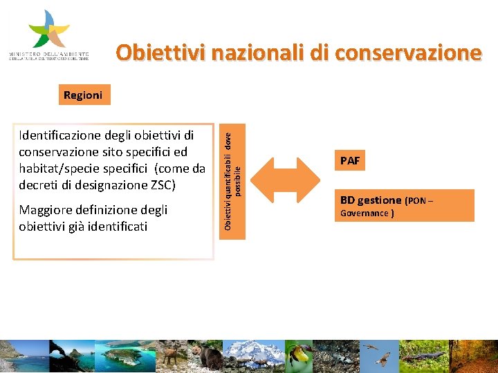 Obiettivi nazionali di conservazione Identificazione degli obiettivi di conservazione sito specifici ed habitat/specie specifici