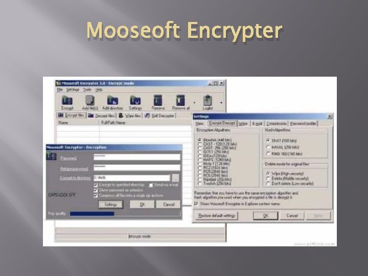 Mooseoft Encrypter 