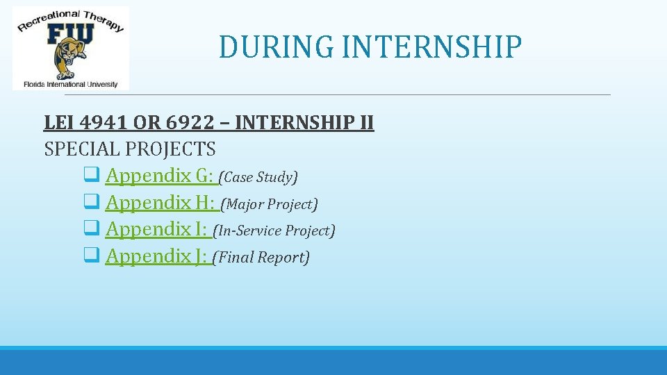 DURING INTERNSHIP LEI 4941 OR 6922 – INTERNSHIP II SPECIAL PROJECTS q Appendix G: