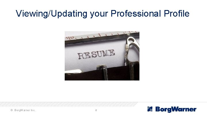 Viewing/Updating your Professional Profile © Borg. Warner Inc. 6 