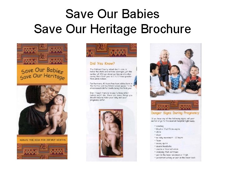 Save Our Babies Save Our Heritage Brochure 