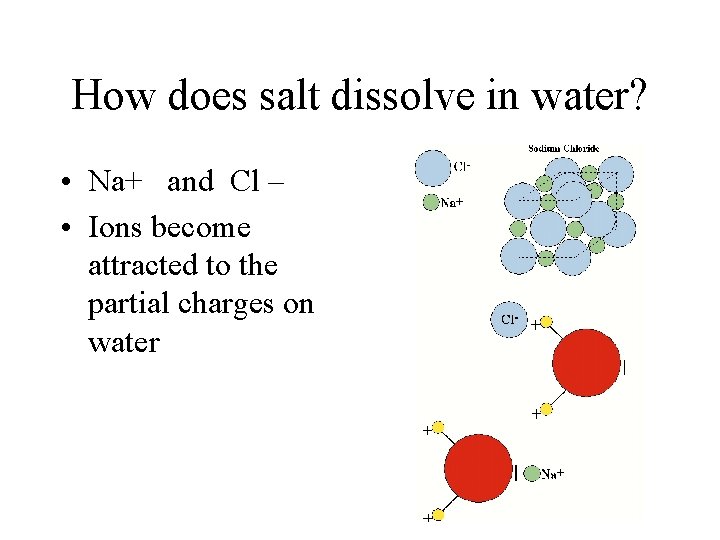 How does salt dissolve in water? • Na+ and Cl – • Ions become