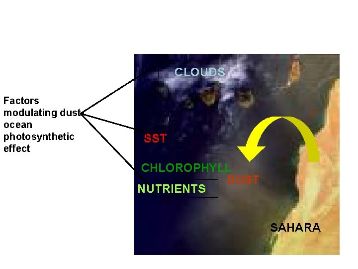 CLOUDS Factors modulating dustocean photosynthetic effect SST CHLOROPHYLL DUST NUTRIENTS SAHARA 