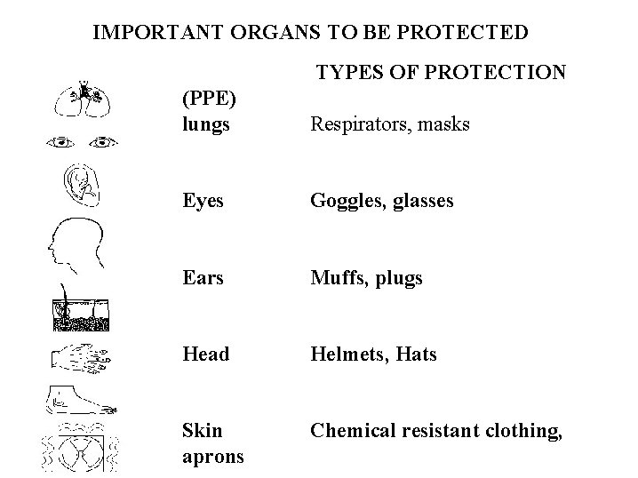 IMPORTANT ORGANS TO BE PROTECTED TYPES OF PROTECTION (PPE) lungs Respirators, masks Eyes Goggles,