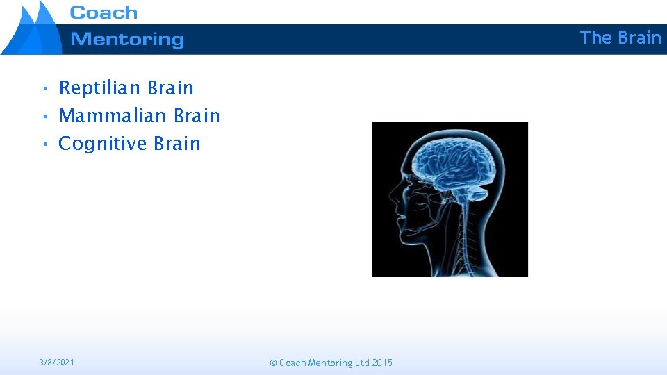 The Brain • Reptilian Brain • Mammalian Brain • Cognitive Brain 3/8/2021 © Coach