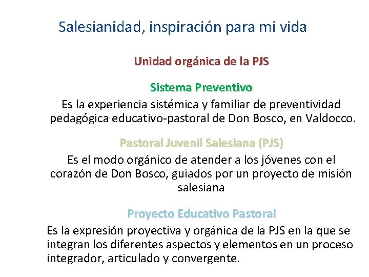 Salesianidad, inspiración para mi vida Unidad orgánica de la PJS Sistema Preventivo Es la