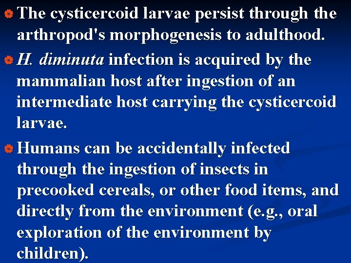 | The cysticercoid larvae persist through the arthropod's morphogenesis to adulthood. | H. diminuta