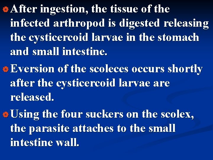 | After ingestion, the tissue of the infected arthropod is digested releasing the cysticercoid