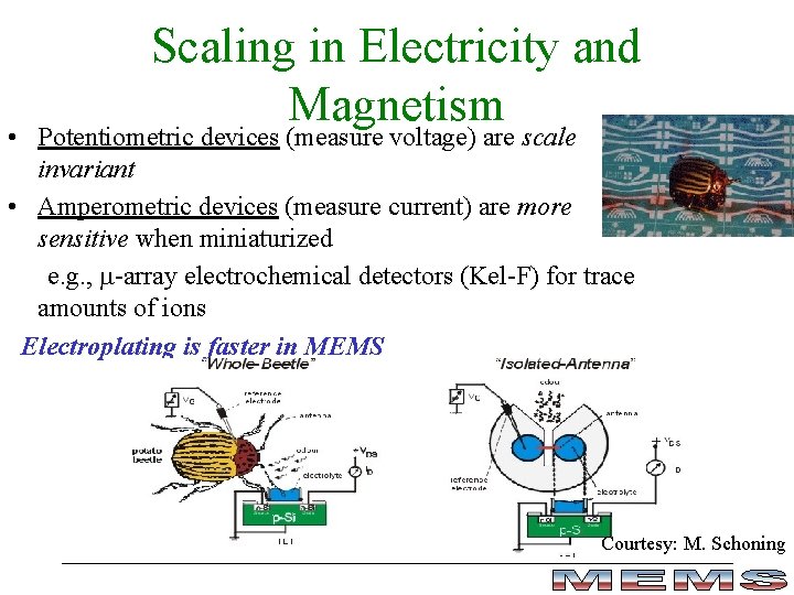 Scaling in Electricity and Magnetism • Potentiometric devices (measure voltage) are scale invariant • Scaling in Electricity and Magnetism • Potentiometric devices (measure voltage) are scale invariant •