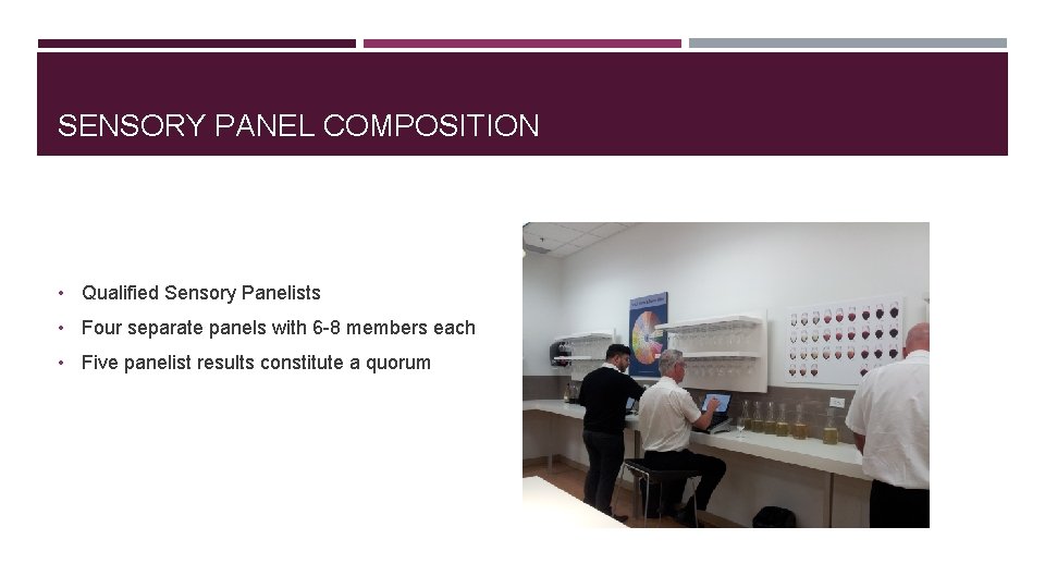 SENSORY PANEL COMPOSITION • Qualified Sensory Panelists • Four separate panels with 6 -8