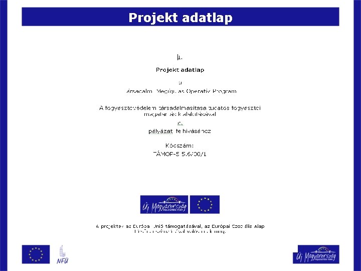 Projekt adatlap 