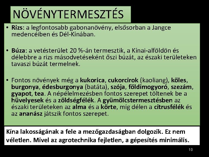 NÖVÉNYTERMESZTÉS • Rizs: a legfontosabb gabonanövény, elsősorban a Jangce medencéiben és Dél-Kínában. • Búza: NÖVÉNYTERMESZTÉS • Rizs: a legfontosabb gabonanövény, elsősorban a Jangce medencéiben és Dél-Kínában. • Búza: