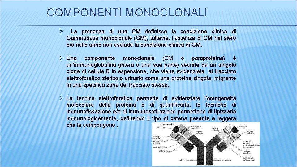 COMPONENTI MONOCLONALI Ø La presenza di una CM definisce la condizione clinica di Gammopatia COMPONENTI MONOCLONALI Ø La presenza di una CM definisce la condizione clinica di Gammopatia