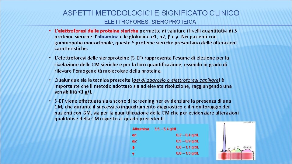 ASPETTI METODOLOGICI E SIGNIFICATO CLINICO ELETTROFORESI SIEROPROTEICA • L'elettroforesi delle proteine sieriche permette di ASPETTI METODOLOGICI E SIGNIFICATO CLINICO ELETTROFORESI SIEROPROTEICA • L'elettroforesi delle proteine sieriche permette di