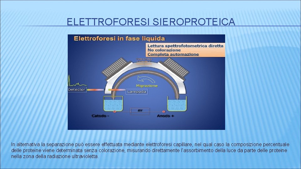 ELETTROFORESI SIEROPROTEICA In alternativa la separazione può essere effettuata mediante elettroforesi capillare, nel qual ELETTROFORESI SIEROPROTEICA In alternativa la separazione può essere effettuata mediante elettroforesi capillare, nel qual