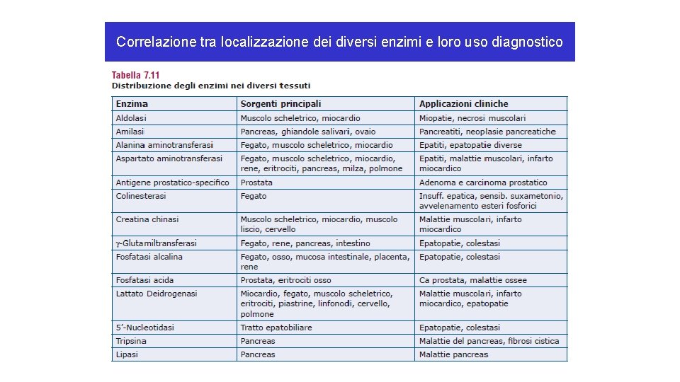 Correlazione tra localizzazione dei diversi enzimi e loro uso diagnostico Correlazione tra localizzazione dei diversi enzimi e loro uso diagnostico
