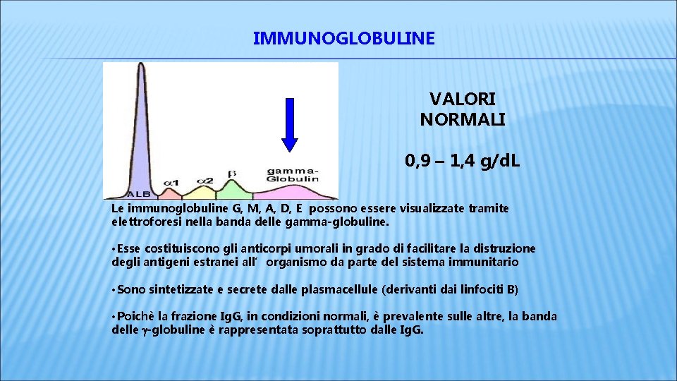 IMMUNOGLOBULINE VALORI NORMALI 0, 9 – 1, 4 g/d. L Le immunoglobuline G, M, IMMUNOGLOBULINE VALORI NORMALI 0, 9 – 1, 4 g/d. L Le immunoglobuline G, M,