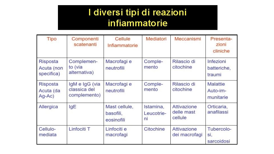 I diversi tipi di reazioni infiammatorie I diversi tipi di reazioni infiammatorie
