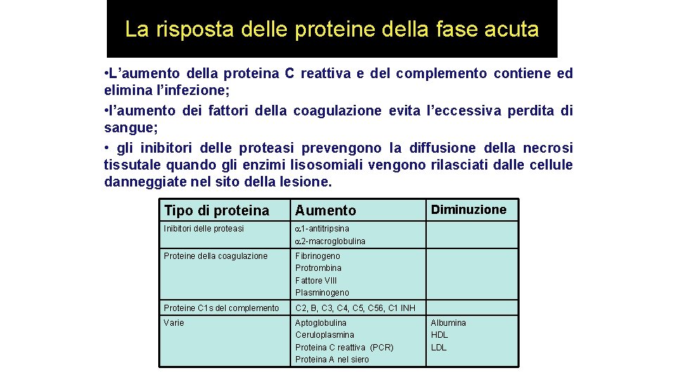 La risposta delle proteine della fase acuta • L’aumento della proteina C reattiva e La risposta delle proteine della fase acuta • L’aumento della proteina C reattiva e