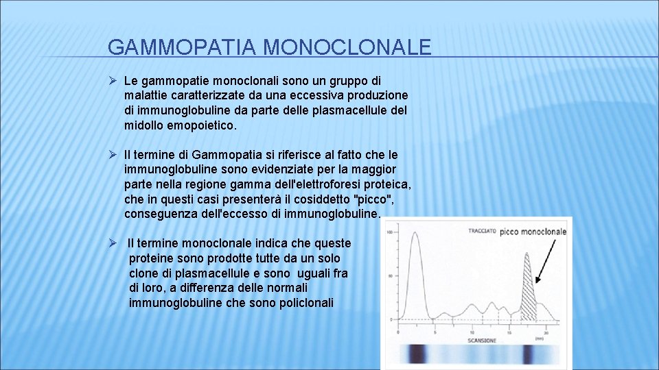 GAMMOPATIA MONOCLONALE Ø Le gammopatie monoclonali sono un gruppo di malattie caratterizzate da una GAMMOPATIA MONOCLONALE Ø Le gammopatie monoclonali sono un gruppo di malattie caratterizzate da una