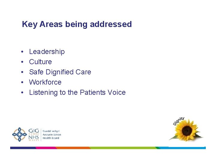 Key Areas being addressed • • • Leadership Culture Safe Dignified Care Workforce Listening