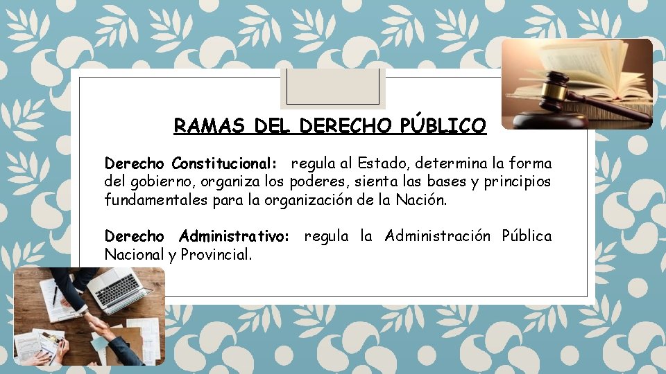 RAMAS DEL DERECHO PÚBLICO Derecho Constitucional: regula al Estado, determina la forma del gobierno, RAMAS DEL DERECHO PÚBLICO Derecho Constitucional: regula al Estado, determina la forma del gobierno,